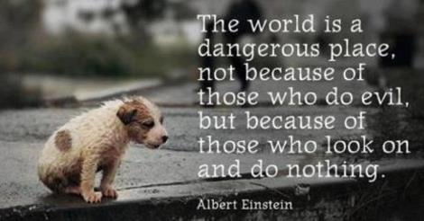 Dog-image